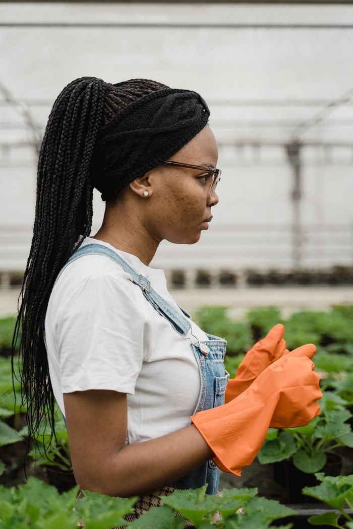 Side view of an African American woman with braids gardening indoors wearing gloves.